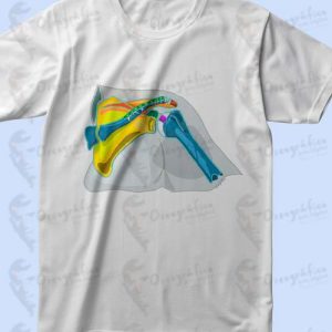 Camisetas Anatomía del Hombro