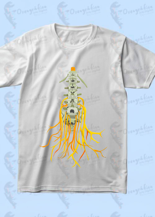 Camisetas Anatomía de la Columna - Image 5